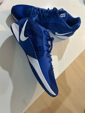 Nike Men’s Royal Blue Athletic Sneakers with White Swoosh